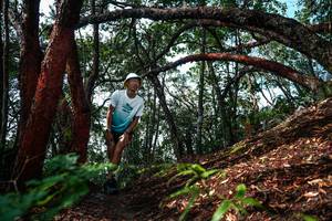 BIB: 
                            <button type="button" onclick="openModal(26346883)" class="btn btn-primary btn-sm float-right btn-popup" data-toggle="modal" data-target=".modal-high-quality">
                        <i class="fas fa-shopping-cart"></i> Add to Cart
                    </button>
                                            <button type="button" onclick="isThisMe(26346883, true)" class="btn btn-success btn-sm float-right btn-popup btn-isme hidden" data-toggle="tooltip" data-placement="bottom" title="นี่คือรูปของคุณใช่ไหม คลิกที่นี่เพื่อเอาเข้าอัลบั้ม">
                        <i class="fas fa-plus"></i> Add to album
                    </button>
                    <button type="button" onclick="isThisMe(26346883, false)" class="btn btn-warning btn-sm float-right btn-popup btn-isnotme hidden">
                        <i class="fas fa-ban"></i> Remove from album
                    </button>